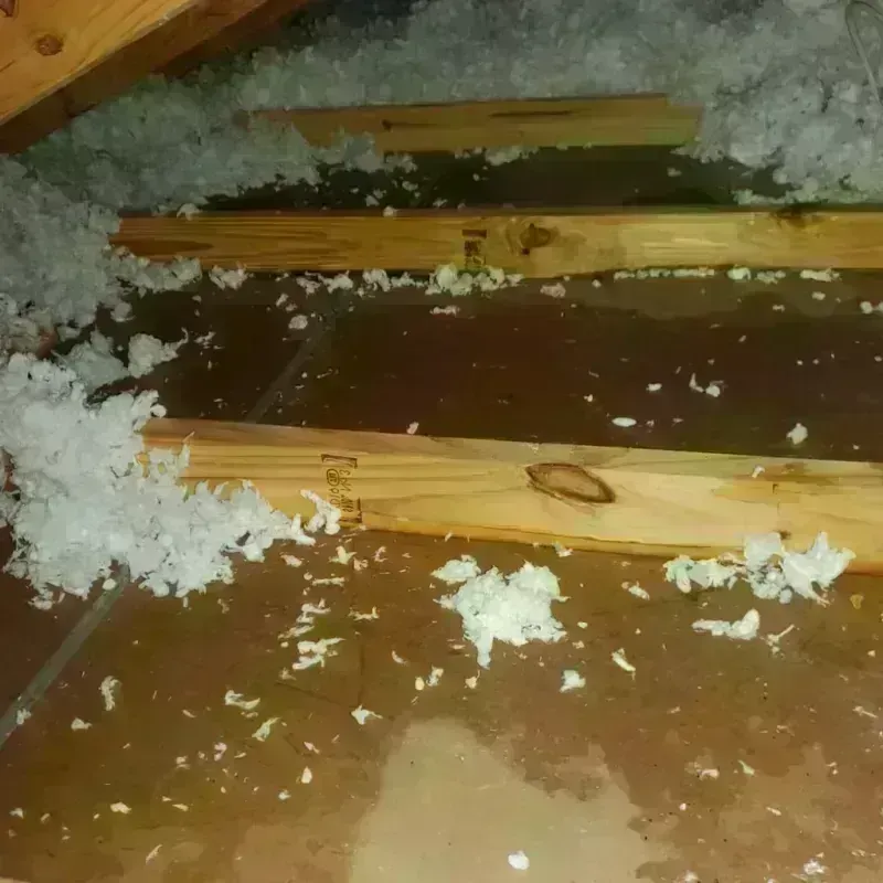 Attic Water Damage in Vernon, NY